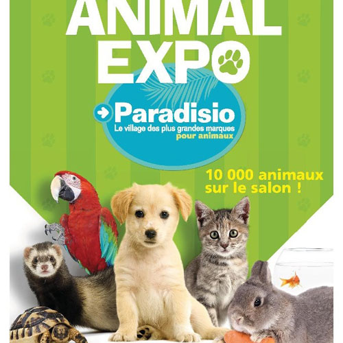Au coeur d'Animal Expo !