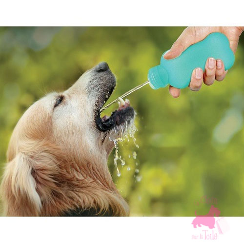 Bouteille "Water4Dog - UNITED PETS