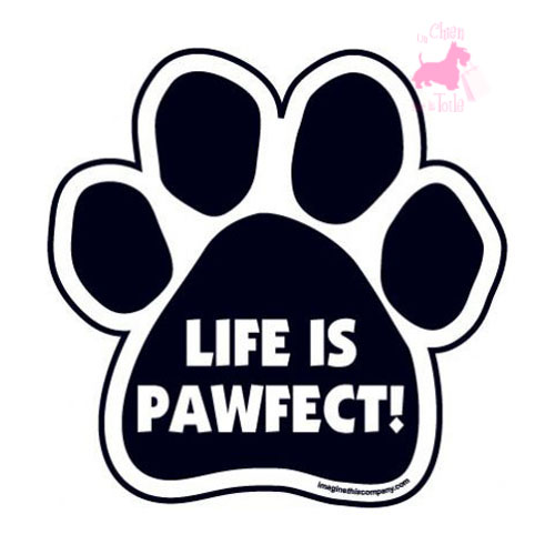 Magnet Life is Pawfect 