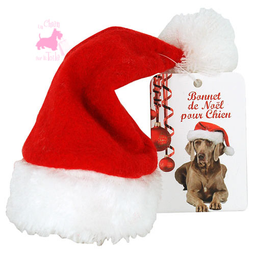 de Noël Wouapy pour chien et chat
