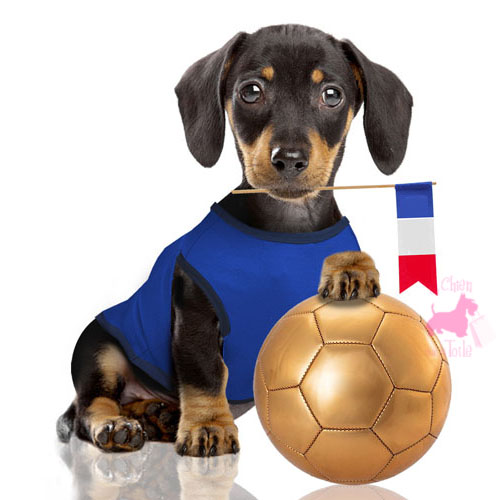 Tee-Shirt Football “Supporter France” - NOOX