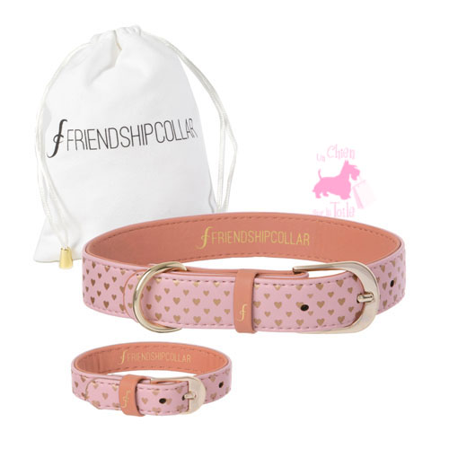 Collier + Bracelet "PUPPY LOVE" - FRIENDSHIPCOLLAR