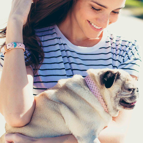 Collier + Bracelet "PUPPY LOVE" - FRIENDSHIPCOLLAR