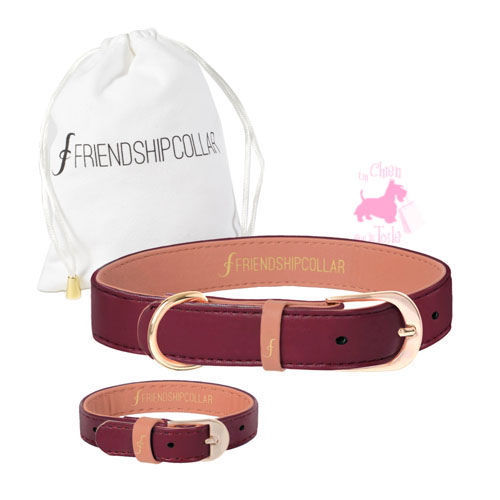 Collier + Bracelet "THE CLASSIC PUP" - Bordeaux - FRIENDSHIPCOLLAR