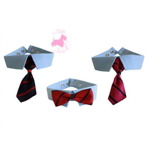 Set Col/Noeud Papillon/Cravates 