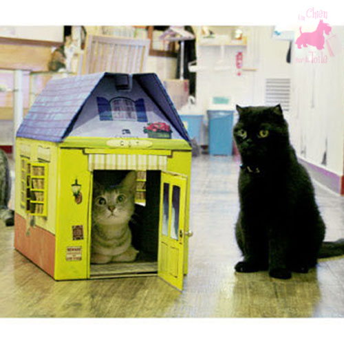 Maison en carton pour CHAT Vurano - CATSPIA