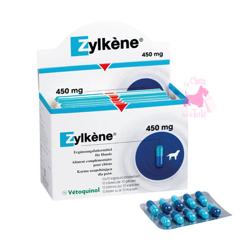 ZYLKENE 450 - VTOQUINOL