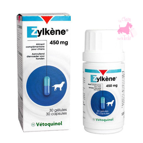 ZYLKENE 450 - VTOQUINOL