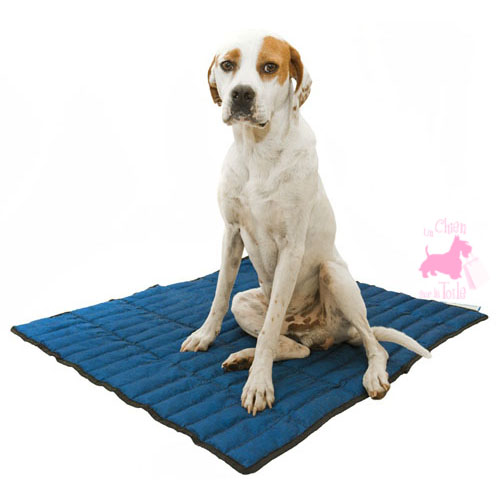 Tapis Rafraichissant Chien non Toxique Tapis De Refroidissement for Chien,  Grand Coussin De Glace Froide En Gel De Coussin De Couverture Auto-refroidissant  for Animaux De Compagnie (36*36cm) 