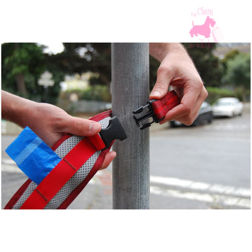 Laisse Pick Pocket Leash - PAWW 