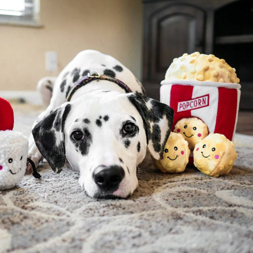 Peluche Puzzle BURROW PopCorn Bucket - ZIPPY PAWS