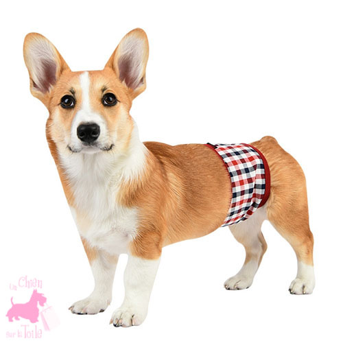 Bandeau anti-pipi Neil Wine - PUPPIA