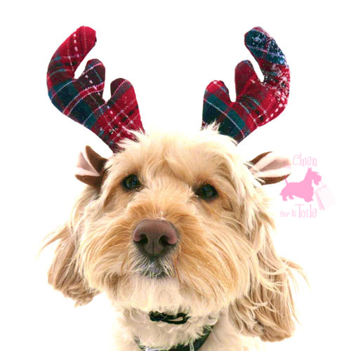 Serre-Tte Tartan de Nol Novelty Antlers - ROSEWOOD