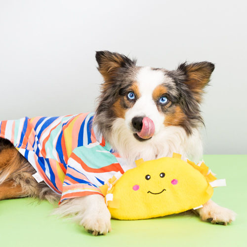 Peluche NOMNOMZ Taco - ZIPPY PAWS
