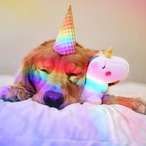 Peluche Licorne SNUGGLERZ 