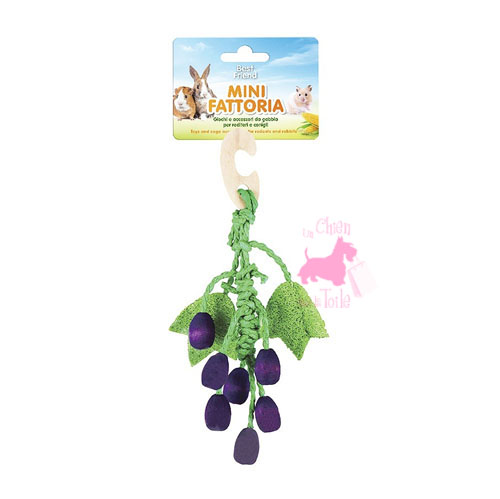 Grappe de raisin  suspendre - MINI FATTORIA