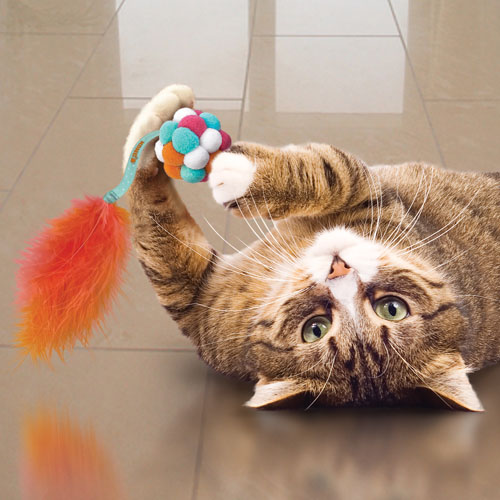 Balle  Pompons 