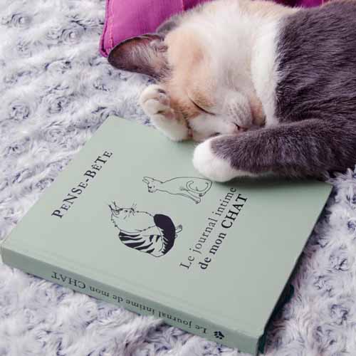 Journal intime "PENSE-BÊTE" pour chat