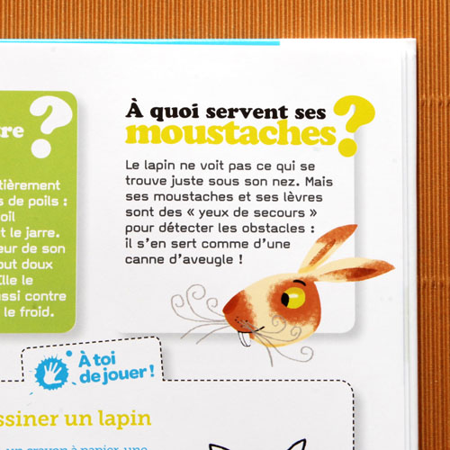 Livre Ton Lapin nain en 50 Questions - ditions MILAN