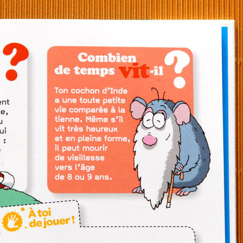 Livre Ton Cochon dInde en 50 Questions - ditions MILAN