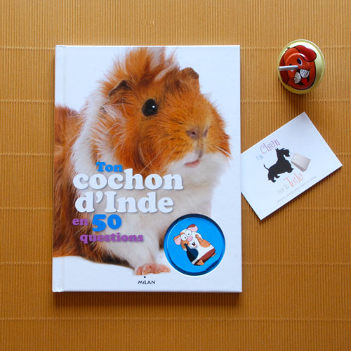 Livre Ton Cochon dInde en 50 Questions - ditions MILAN