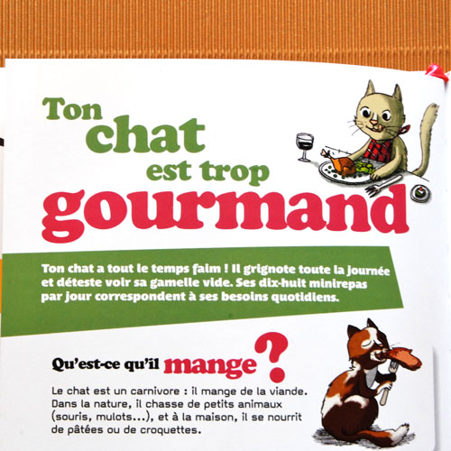 Livre Ton Chat en 50 Questions - ditions MILAN