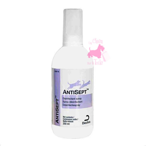 ANTISEPT SPRAY - AGECOM