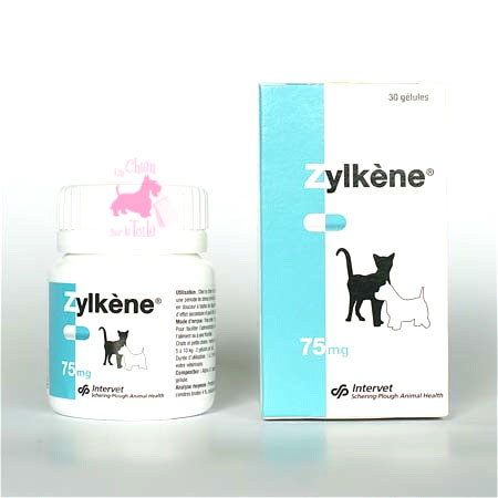 ZYLKENE 75 - VTOQUINOL