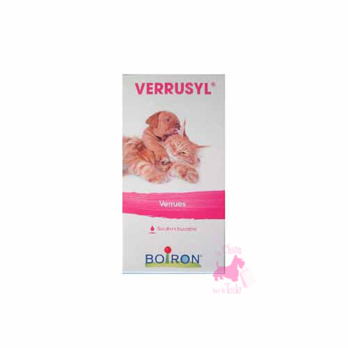 VERRUSYL - BOIRON 