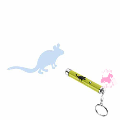 Pointeur Led Mouse - HUNTER