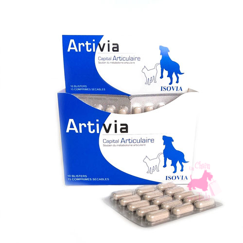 ARTIVIA - ISOVIA 