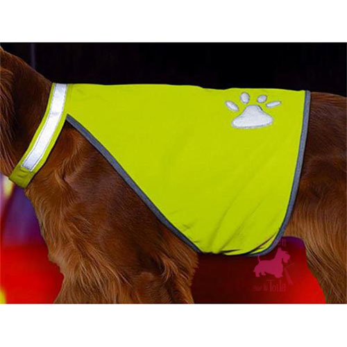 Gilet de sécurité  “Safety Vest”  -  KARLIE