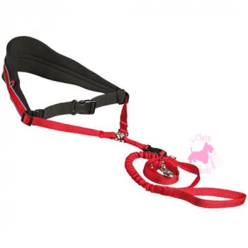 Trixie - Laisse Canicross avec Ceinture Ventrale pour Chien - Rouge