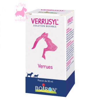 VERRUSYL - BOIRON 