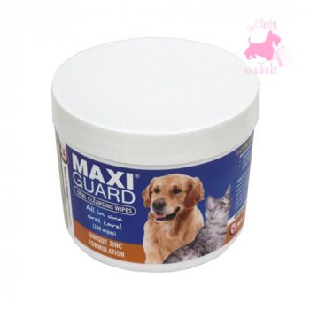 MAXIGUARD : lingettes dentaires pour chien, chat, et NAC