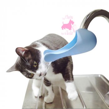 Adaptateur robinet “Gurgle” - UNITED PETS 