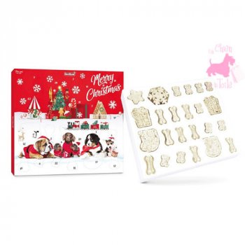 Calendrier de lAvent CHIEN Merry Christmas - BEST BONE