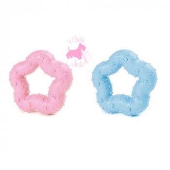 Mini anneau dentition 