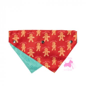 Bandana de Nol 