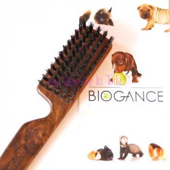 Brosse ergonomique en poils de sanglier Ergolance - BIOGANCE 