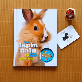 Livre Ton Lapin nain en 50 Questions - ditions MILAN