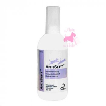 ANTISEPT SPRAY - AGECOM