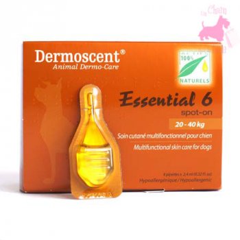 ESSENTIAL 6 SPOT ON POUR CHIEN - DERMOSCENT