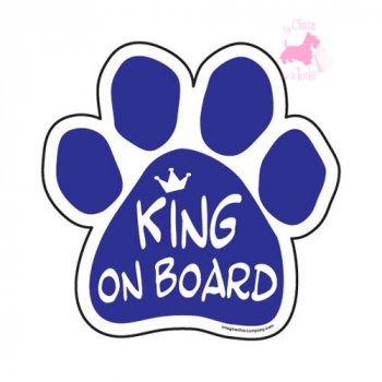 Magnet King on Board 