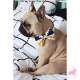 Collier Noeud Papillon Hilda - OH! PAW