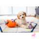 Peluche Puzzle BURROW Bunny 'n Carrot - ZIPPY PAWS