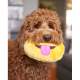 Peluche EMOJIZ Tongue Out - ZIPPY PAWS