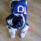 Tee-Shirt Football Supporter France - NOOX