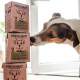 Repas sant complet Dinde & Poulet - POOCH & MUTT