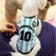 Maillot Football Equipe d'Argentine - PARIS DOG